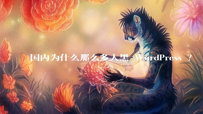 国内为什么那么多人黑 WordPress ？