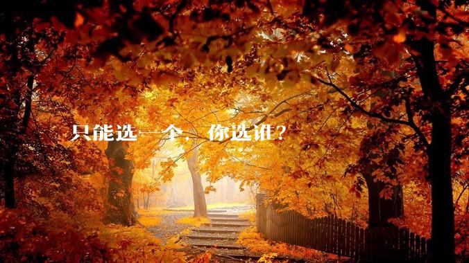 只能选一个，你选谁？