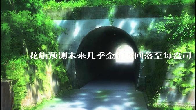 花旗预测未来几季金价将回落至每盎司 3000 美元以下，这其中有哪些相关依据？