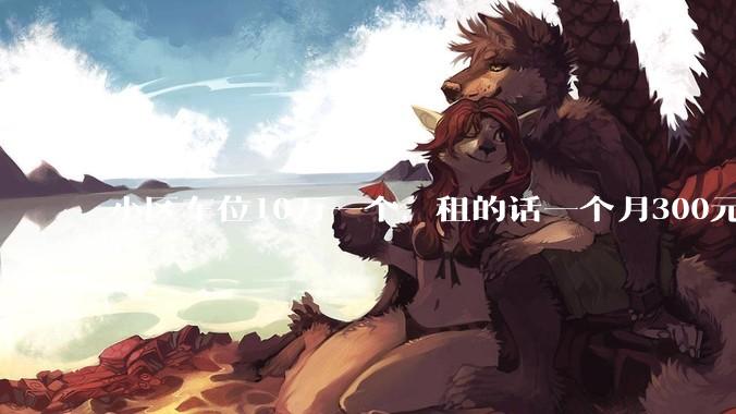 小区车位10万一个，租的话一个月300元，还有必要买车位吗？