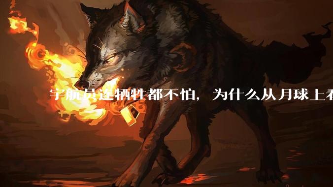 宇航员连牺牲都不怕，为什么从月球上看地球会感到无比恐惧？