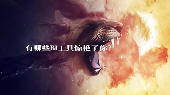 有哪些BI工具惊艳了你？